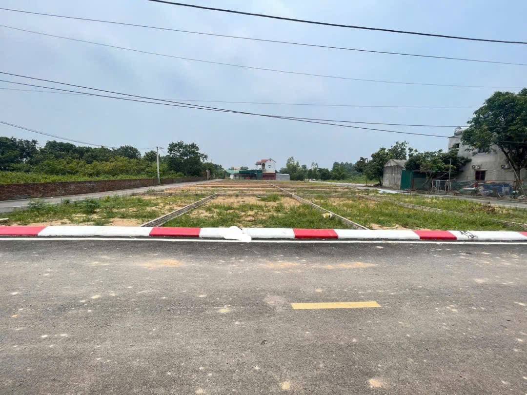 100m-phu-thinh-kim-anh-san-so-do